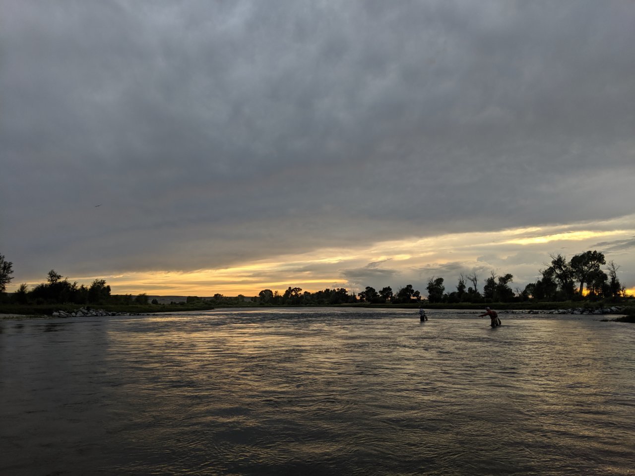 IMG_20190803_201024.jpg