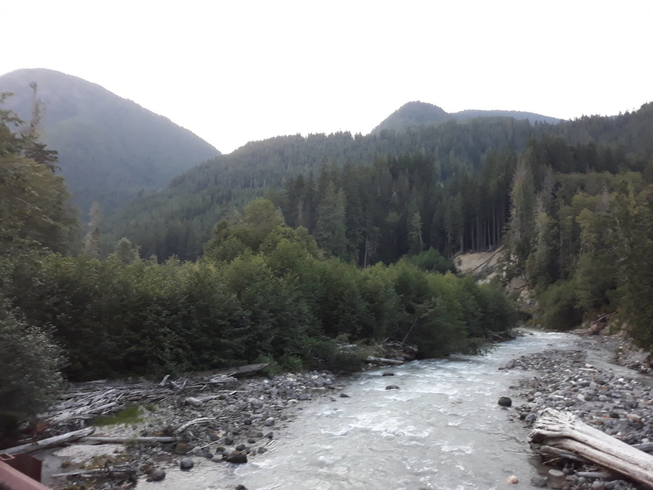 IMG_20190804_202949.jpg