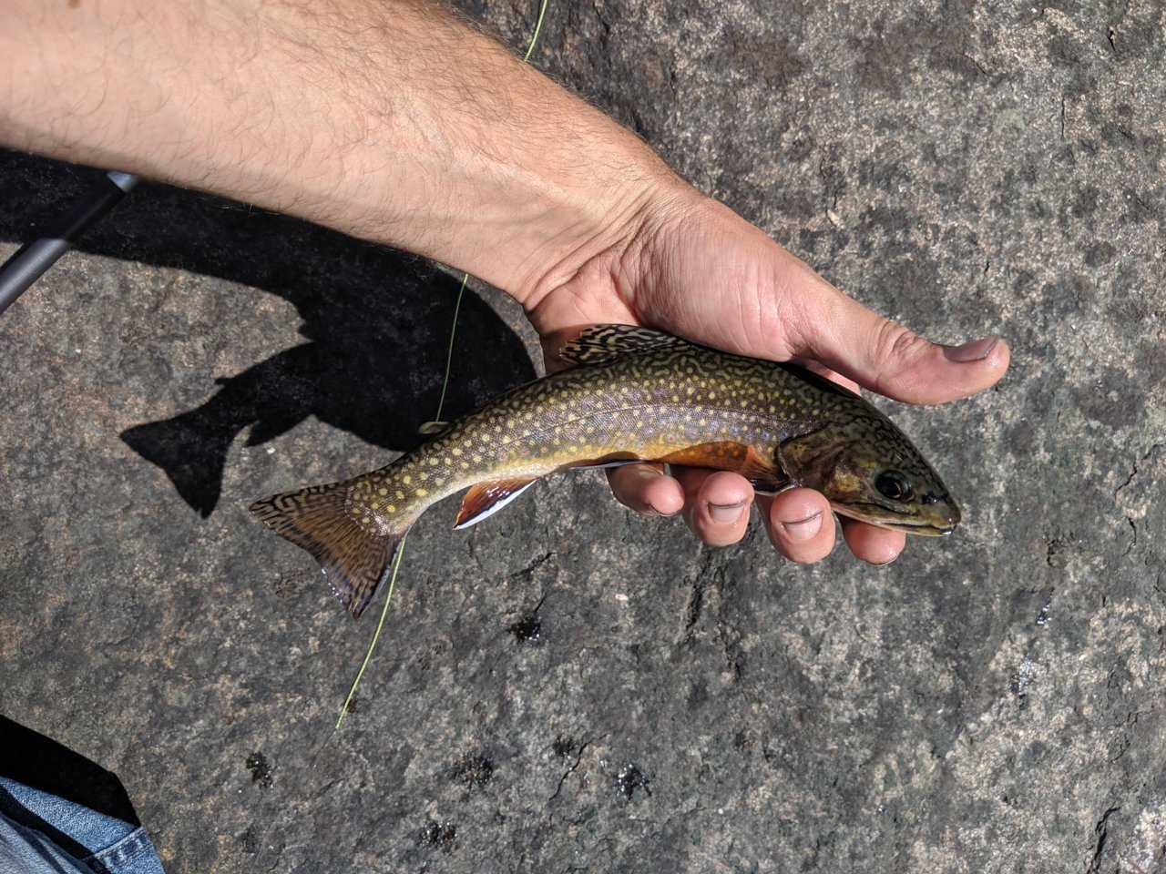 IMG_20190808_102941.jpg