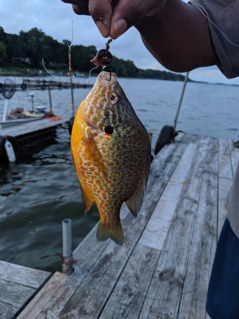 IMG_20190808_202323.jpg