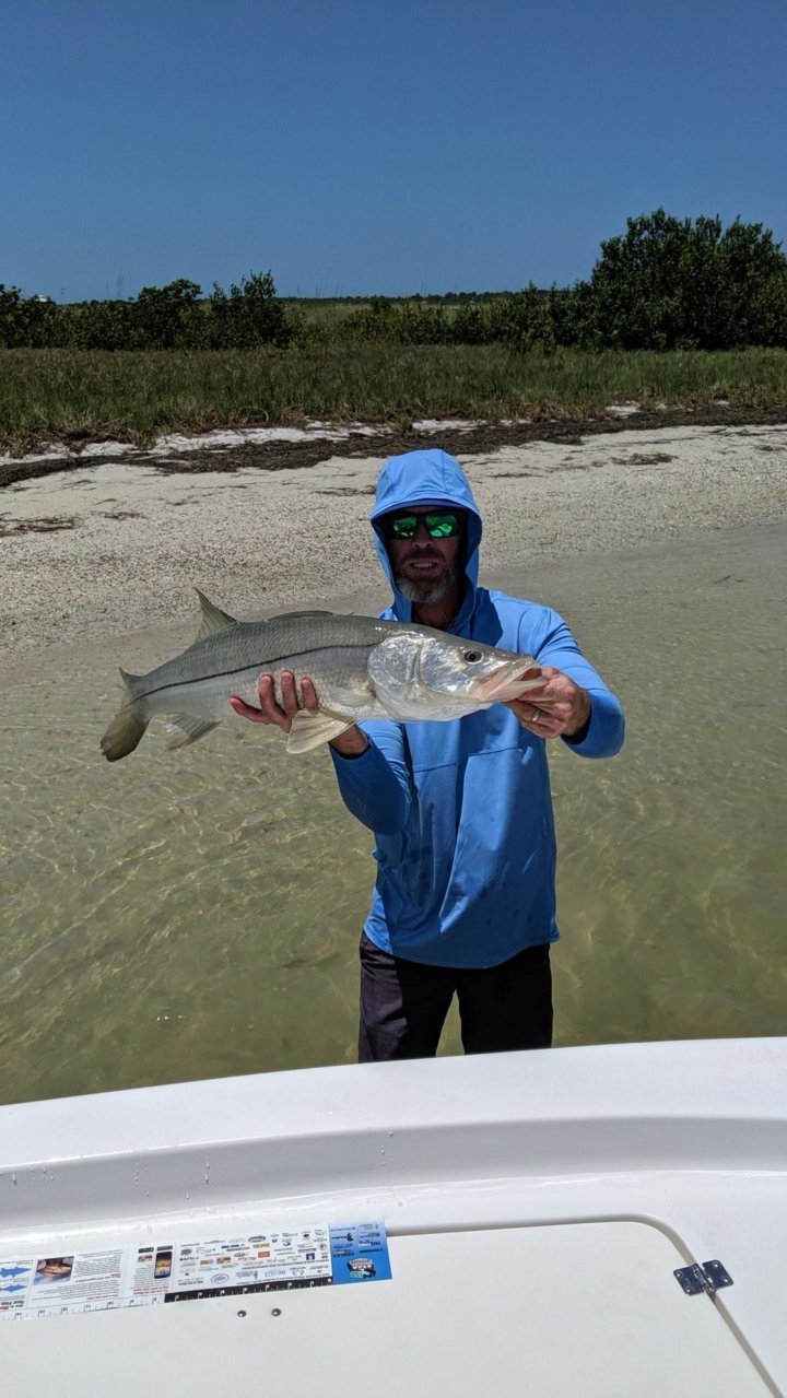 IMG_20190808_212829_01.jpg