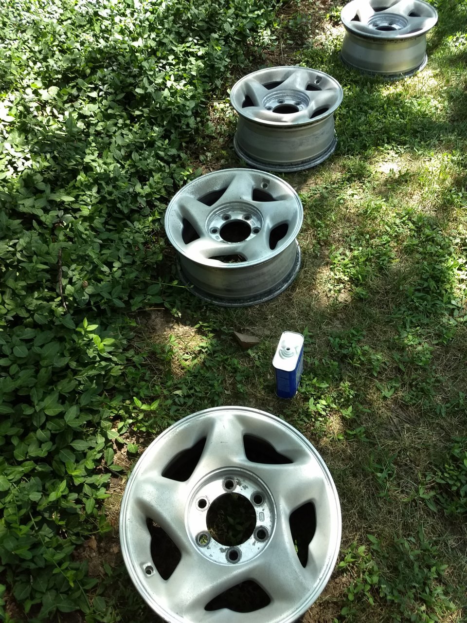 IMG_20190810_140341269.jpg