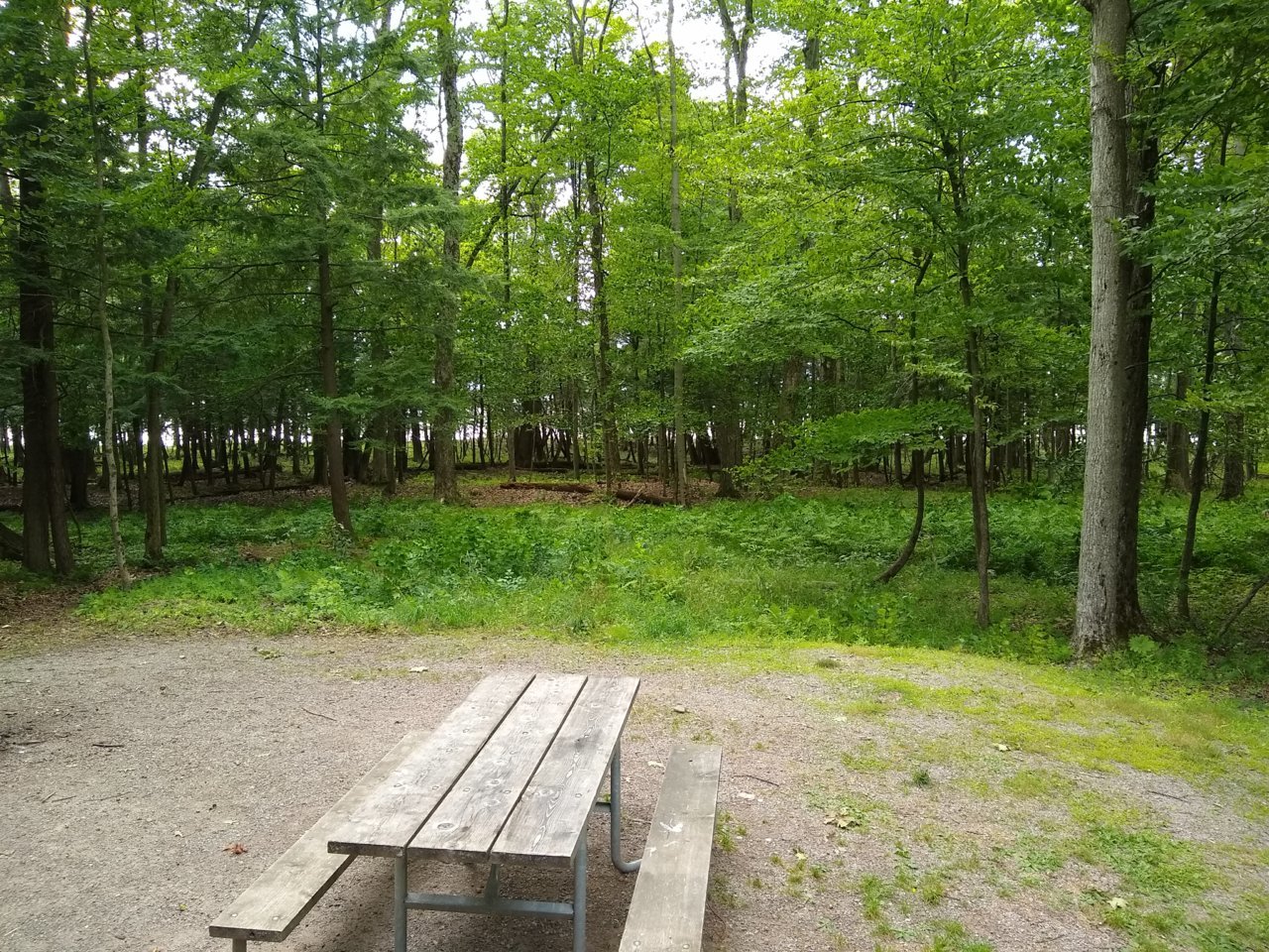 IMG_20190810_162041854.jpg