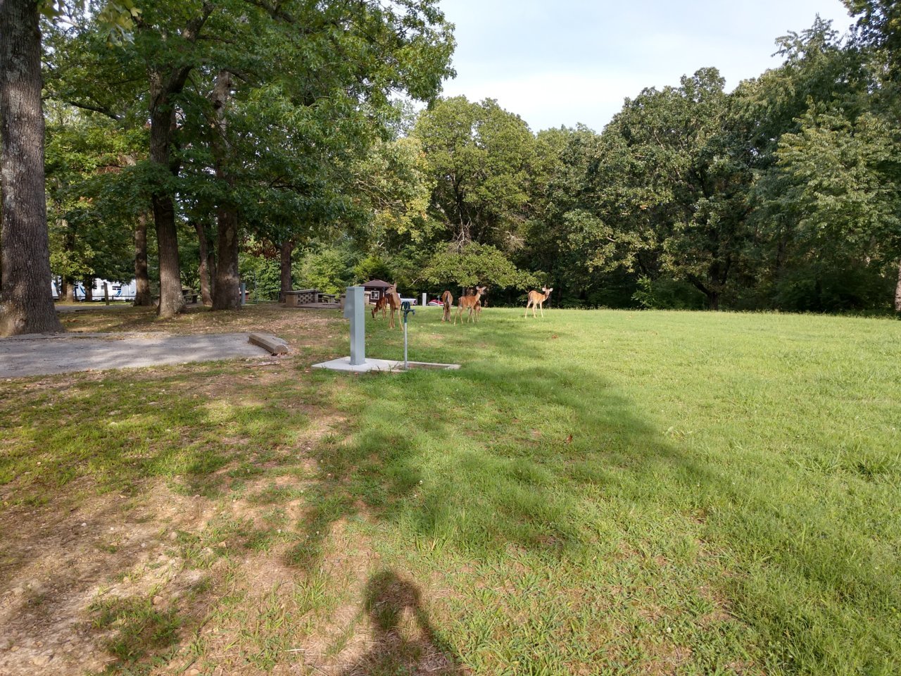 IMG_20190811_174951494_HDR.jpg