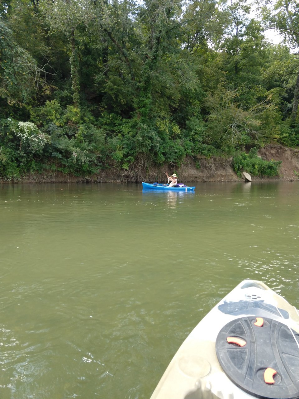 IMG_20190815_115957465.jpg