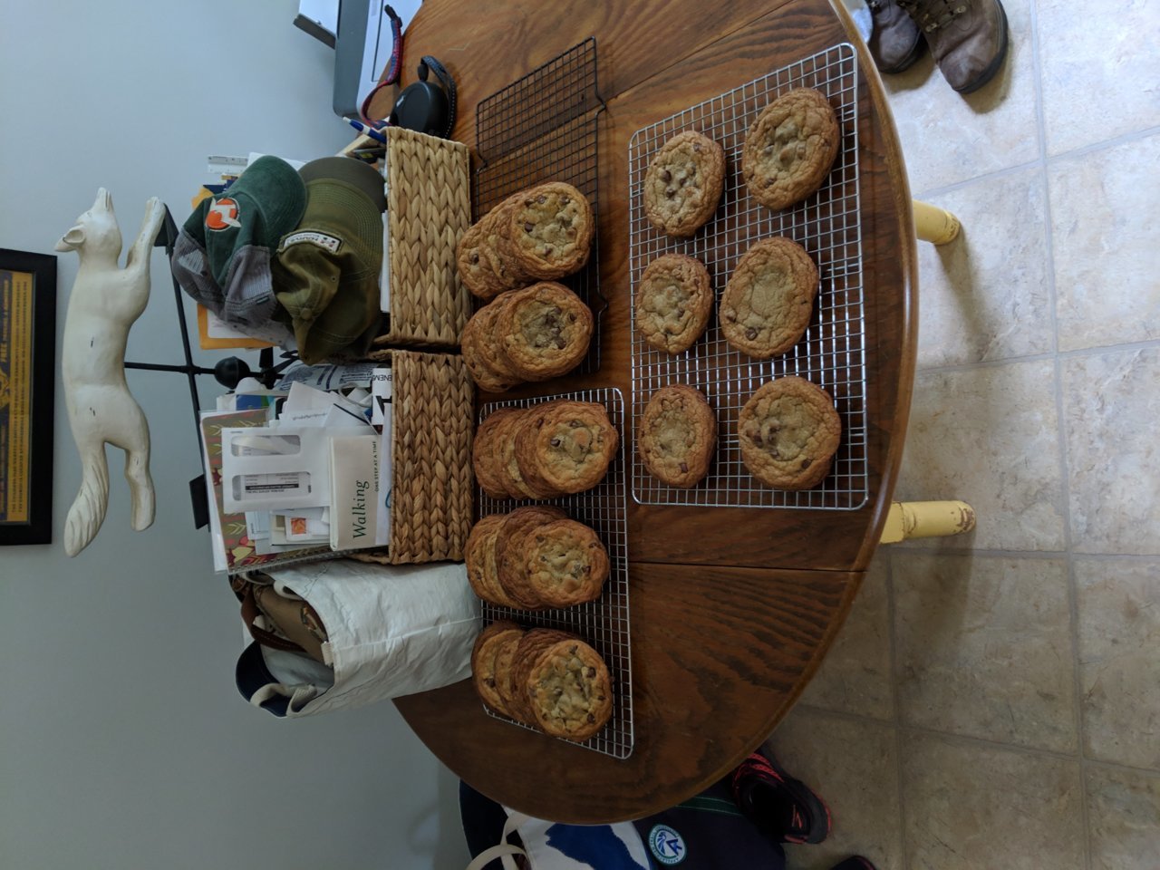 IMG_20190817_075857.jpg