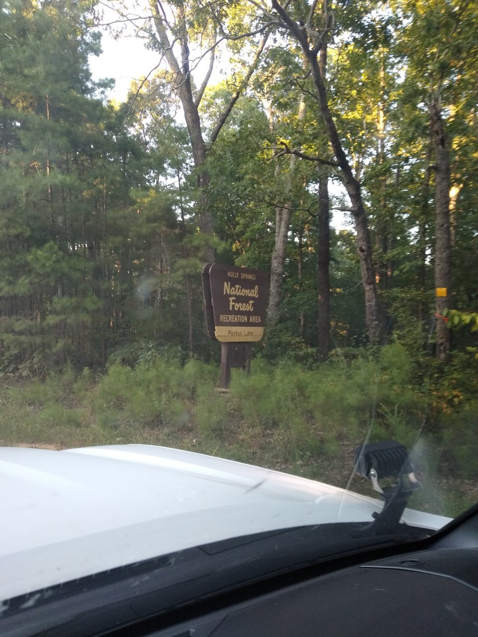 IMG_20190817_185203088.jpg