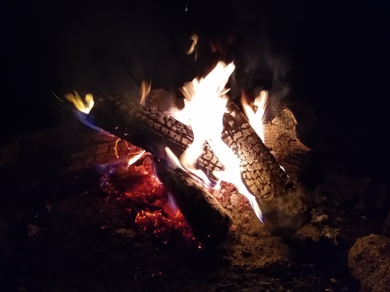 IMG_20190824_221052948.jpg