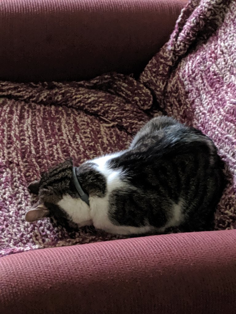 IMG_20190908_150617.jpg
