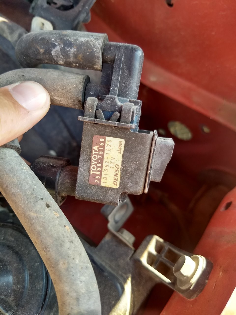 IMG_20190912_163035894_HDR[1].jpg