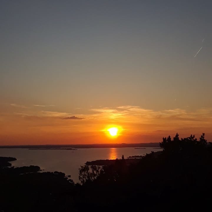 IMG_20190914_000559_078.jpg