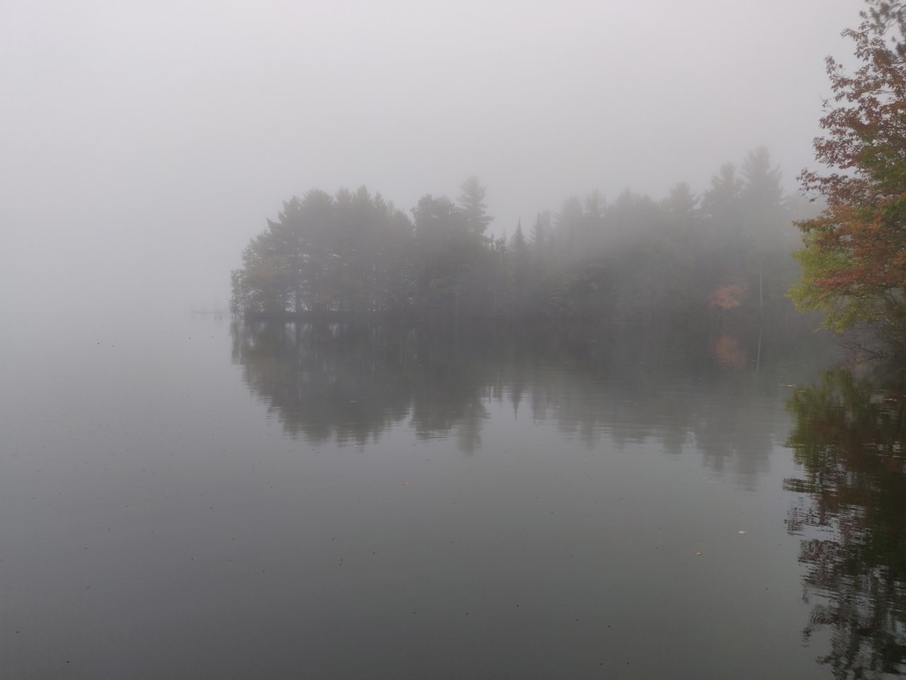IMG_20190919_073719.jpg