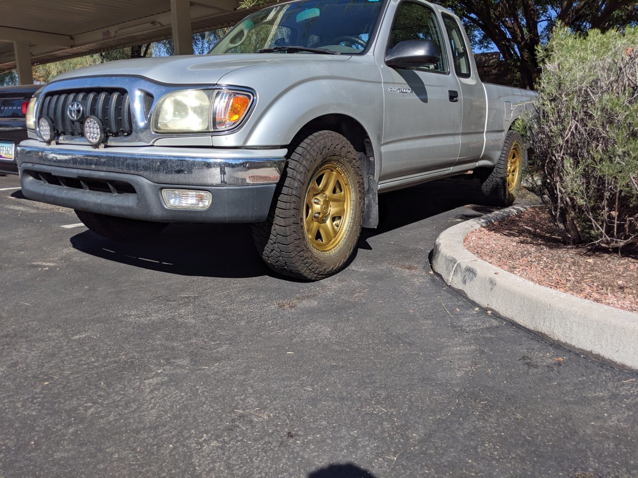 IMG_20191003_144906.jpg
