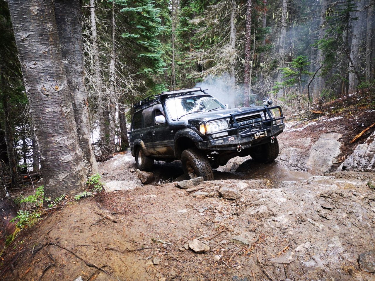 IMG_20191013_125239_ab44cf0157d9b96ec37403715db3b4445a7cffe7.jpg
