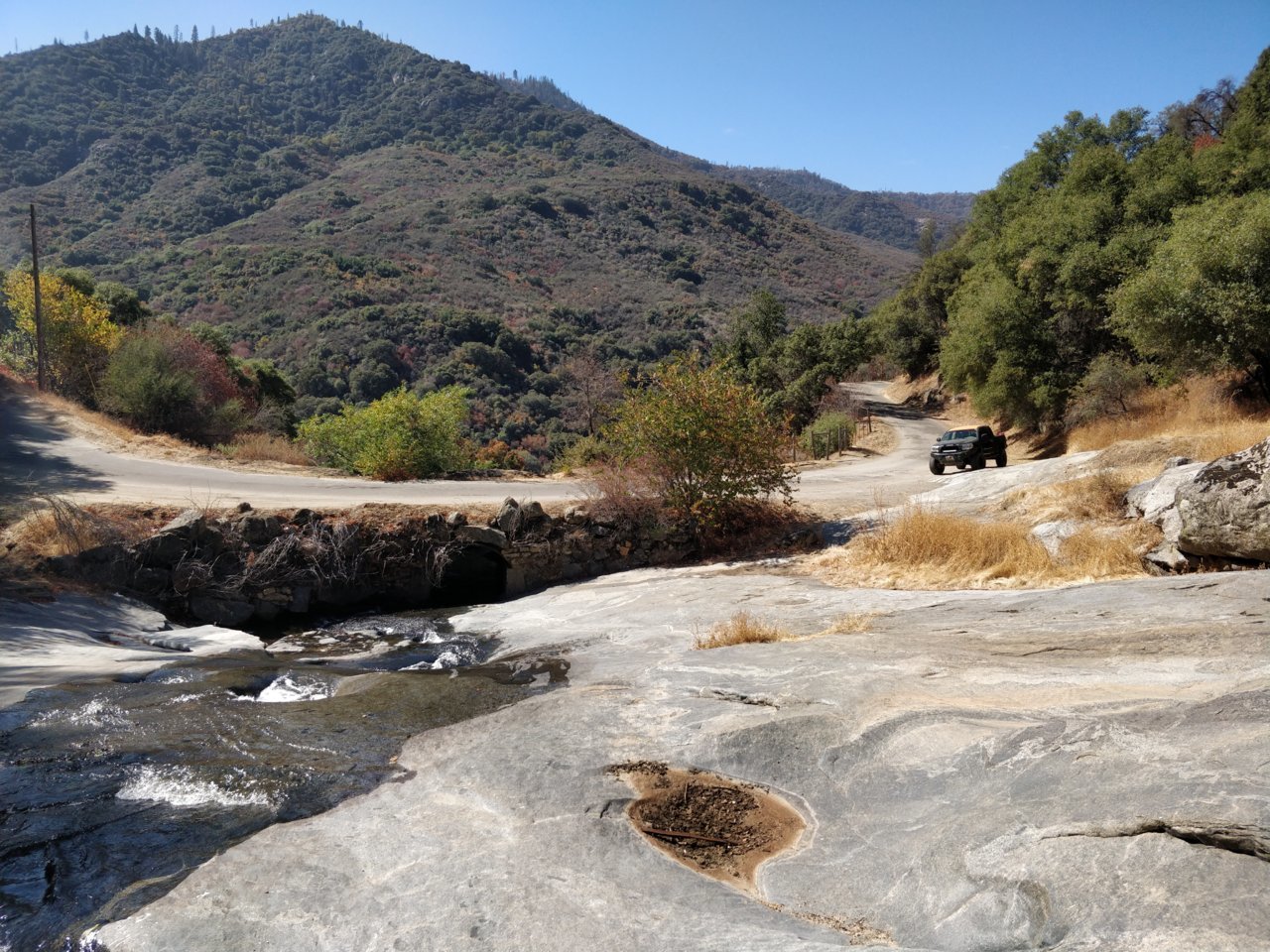 IMG_20191018_121455.jpg