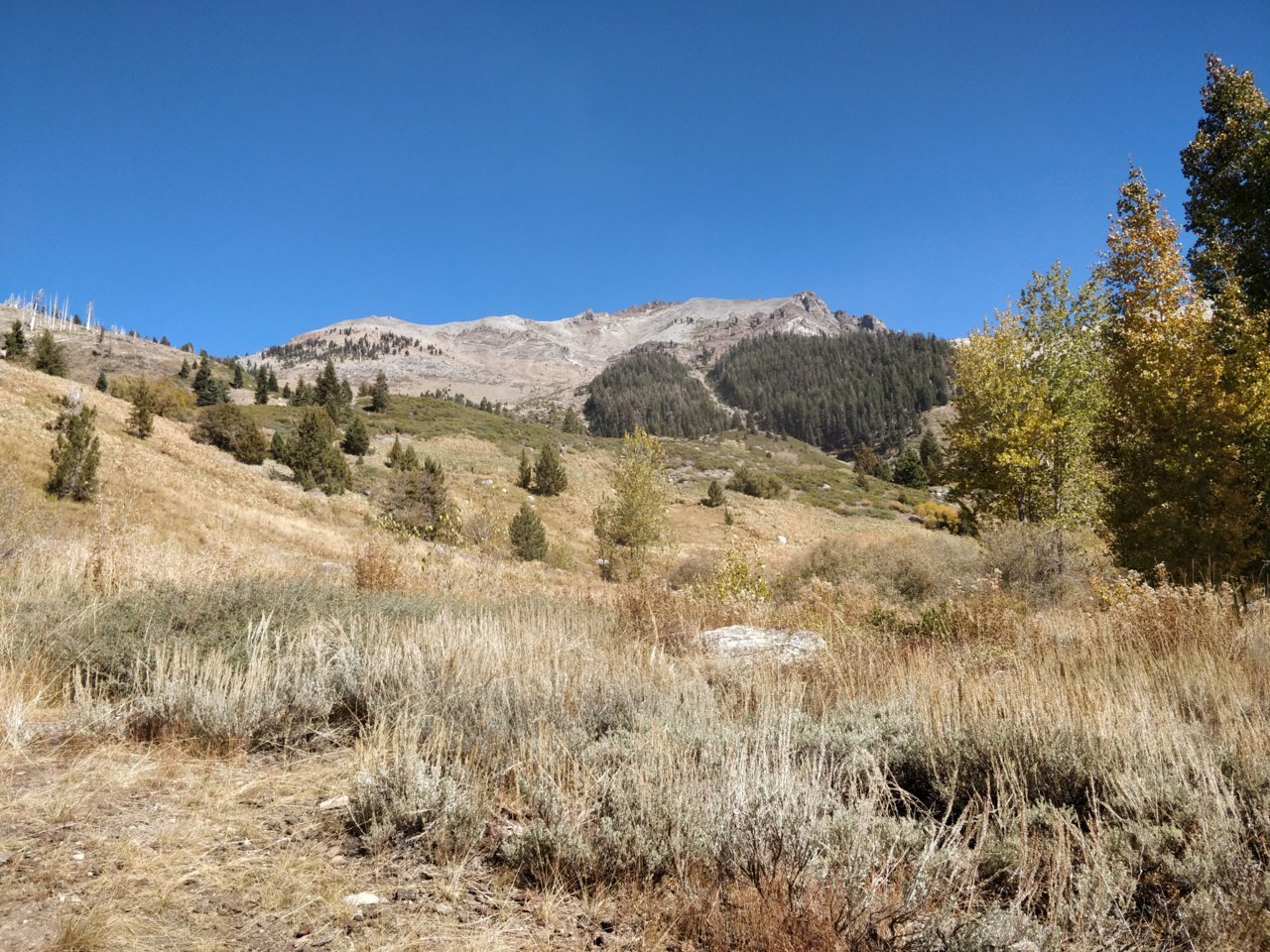 IMG_20191018_130256.jpg