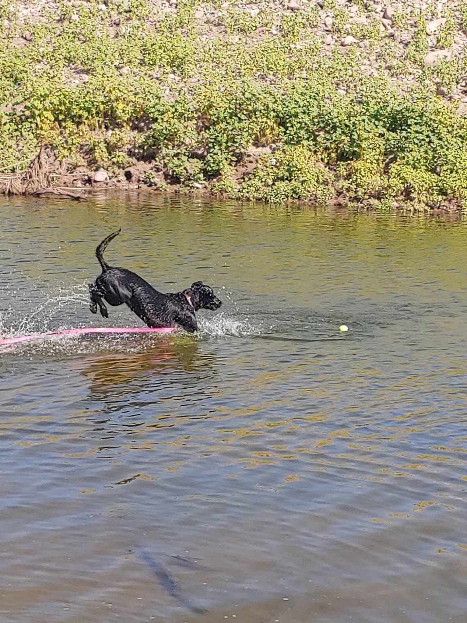 IMG_20191020_190110_01.jpg