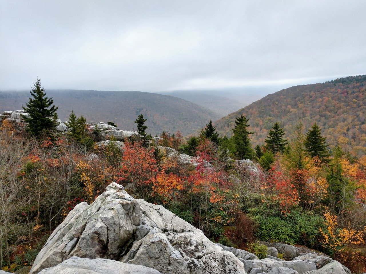 IMG_20191022_101937333_HDR.jpg
