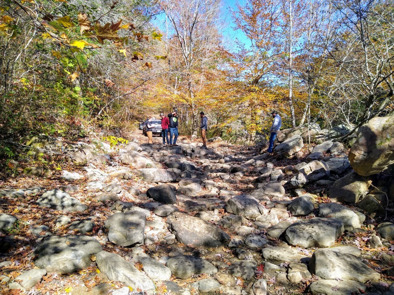 IMG_20191109_115606384_HDR.jpg