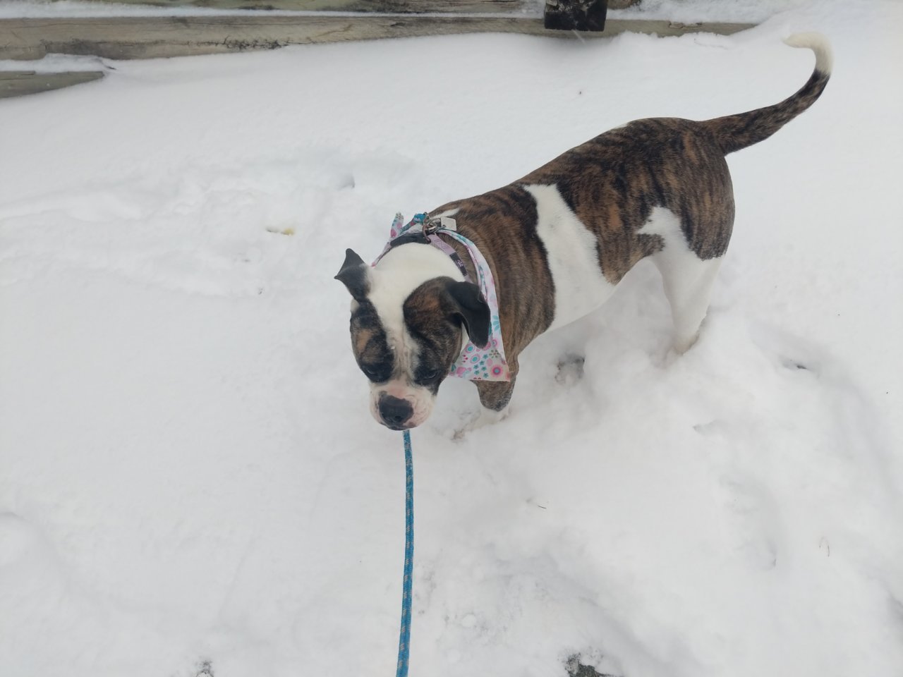 IMG_20191126_074438.jpg