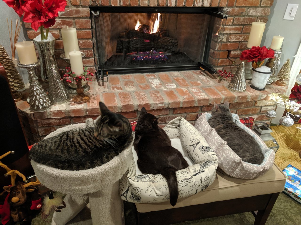IMG_20191223_233855.jpg