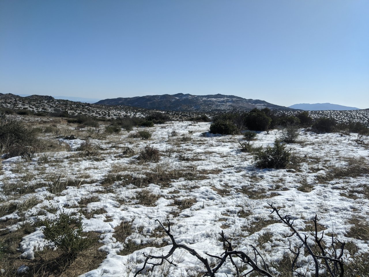 IMG_20191228_094941.jpg