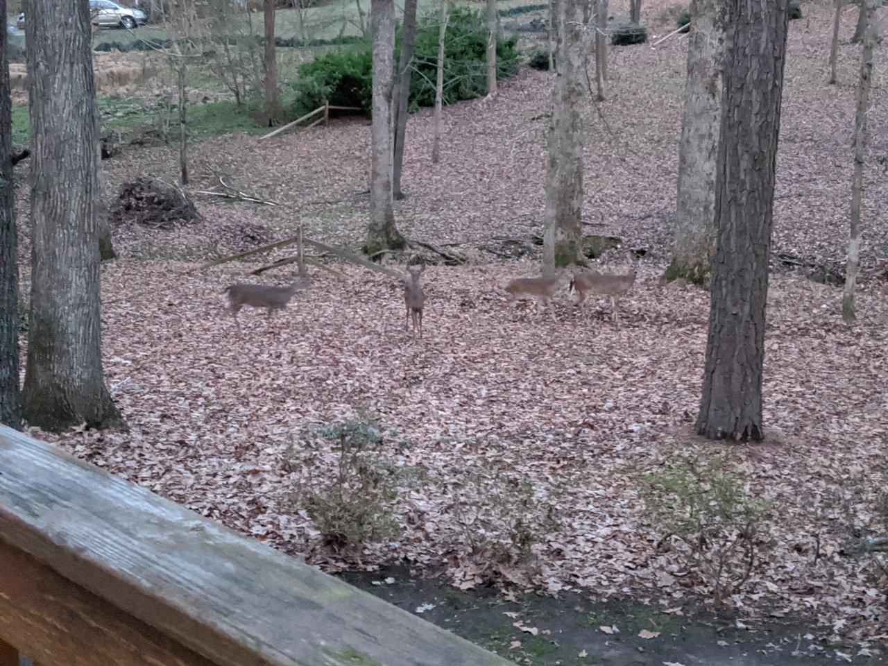 IMG_20200112_173851.jpg