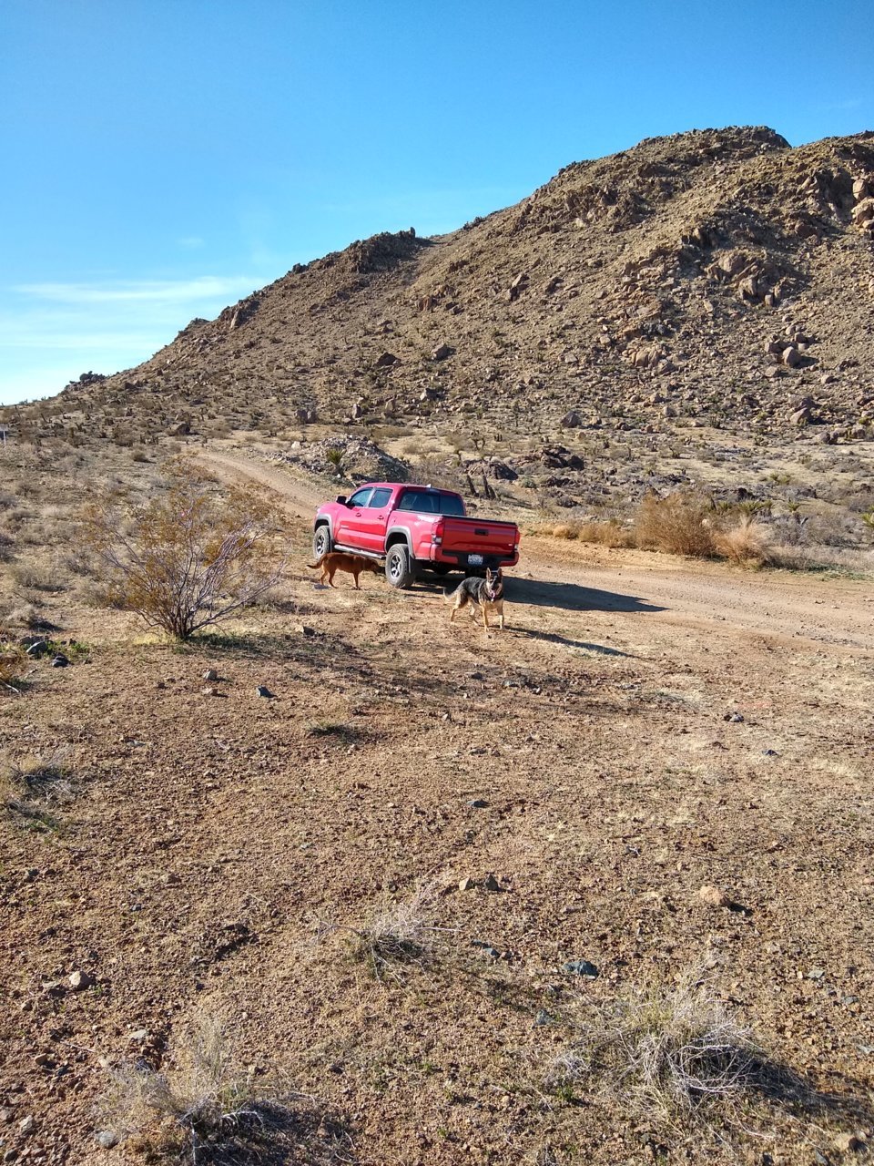 IMG_20200217_145424462_HDR.jpg