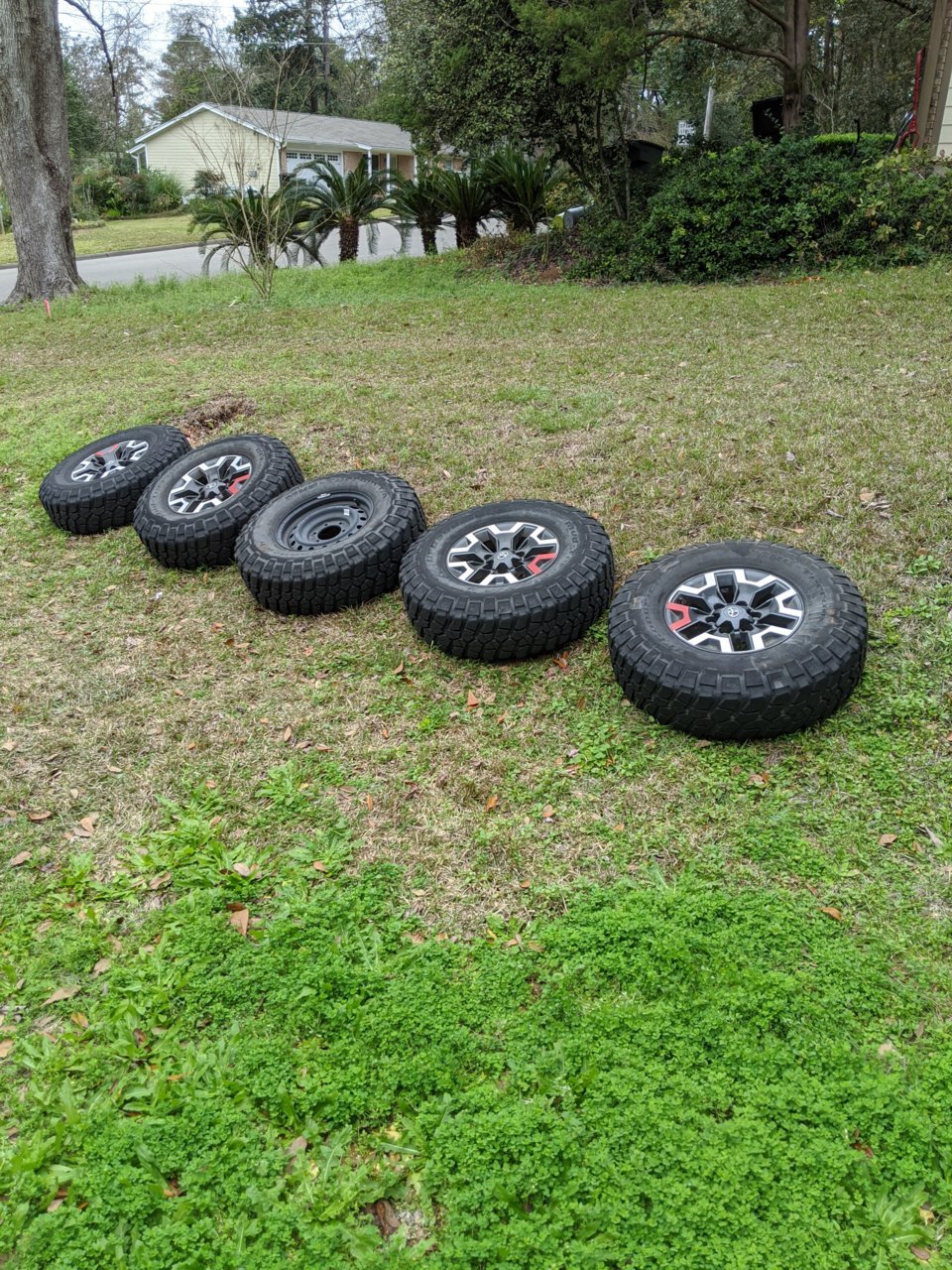 IMG_20200217_153647.jpg