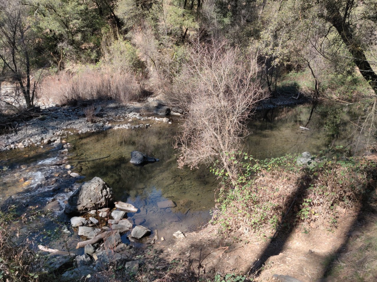 IMG_20200302_131010.jpg