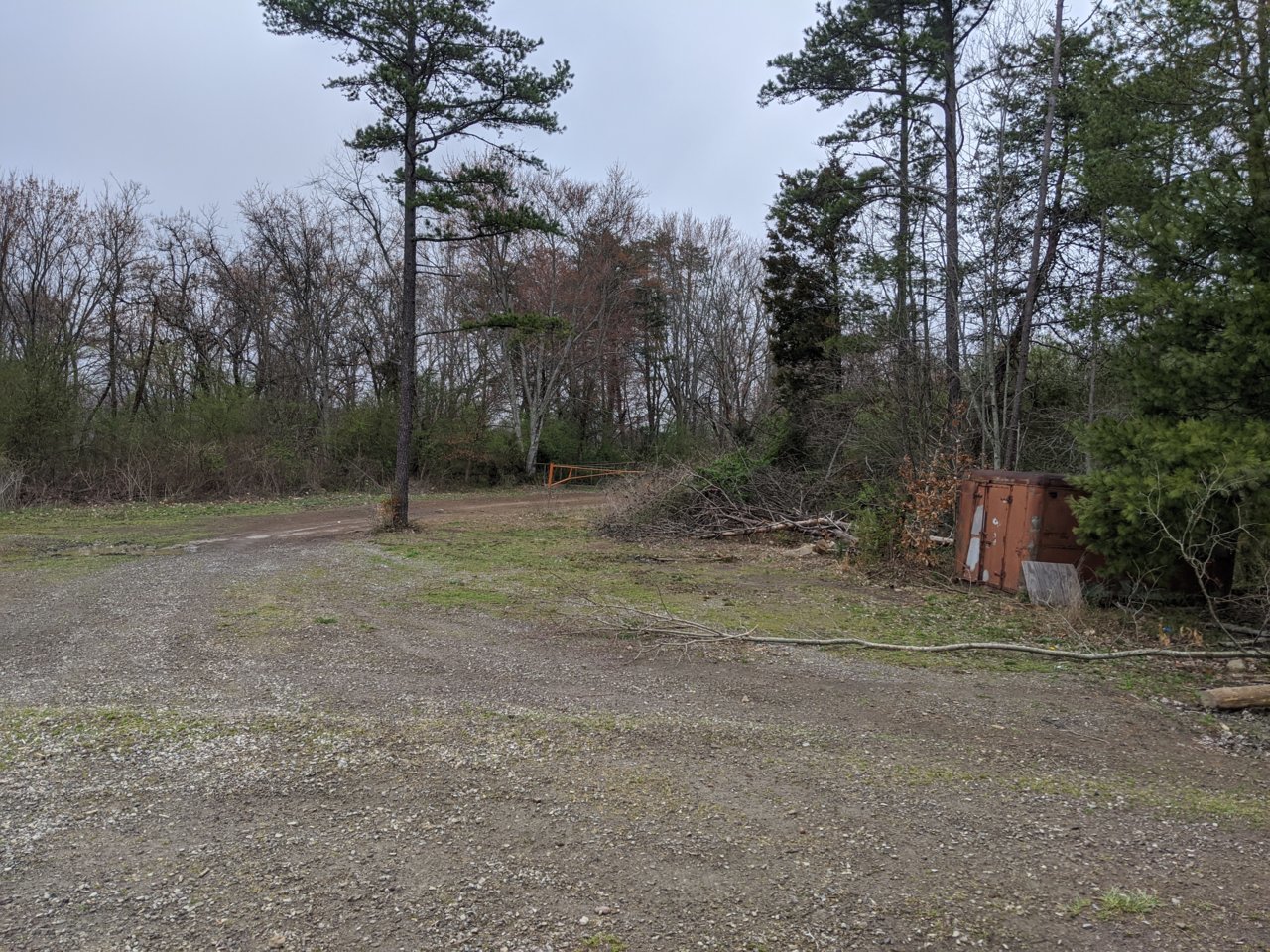IMG_20200312_120600.jpg