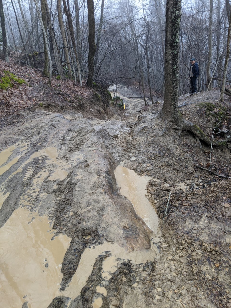 IMG_20200314_153407.jpg