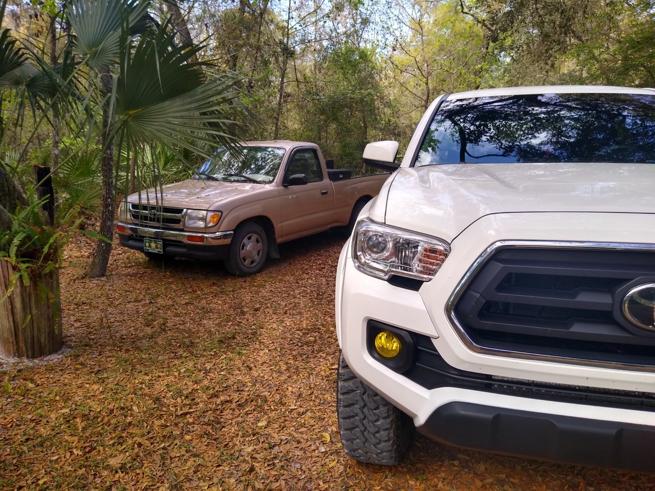 IMG_20200315_112227578_HDR.jpg