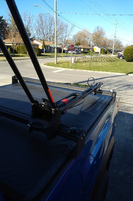 IMG_20200405_1740342.jpg