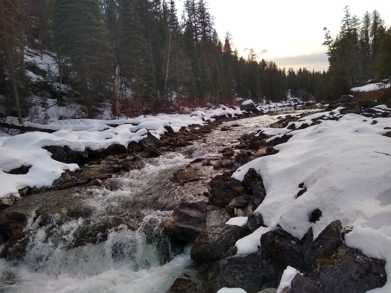 IMG_20200406_195017984_HDR.jpg