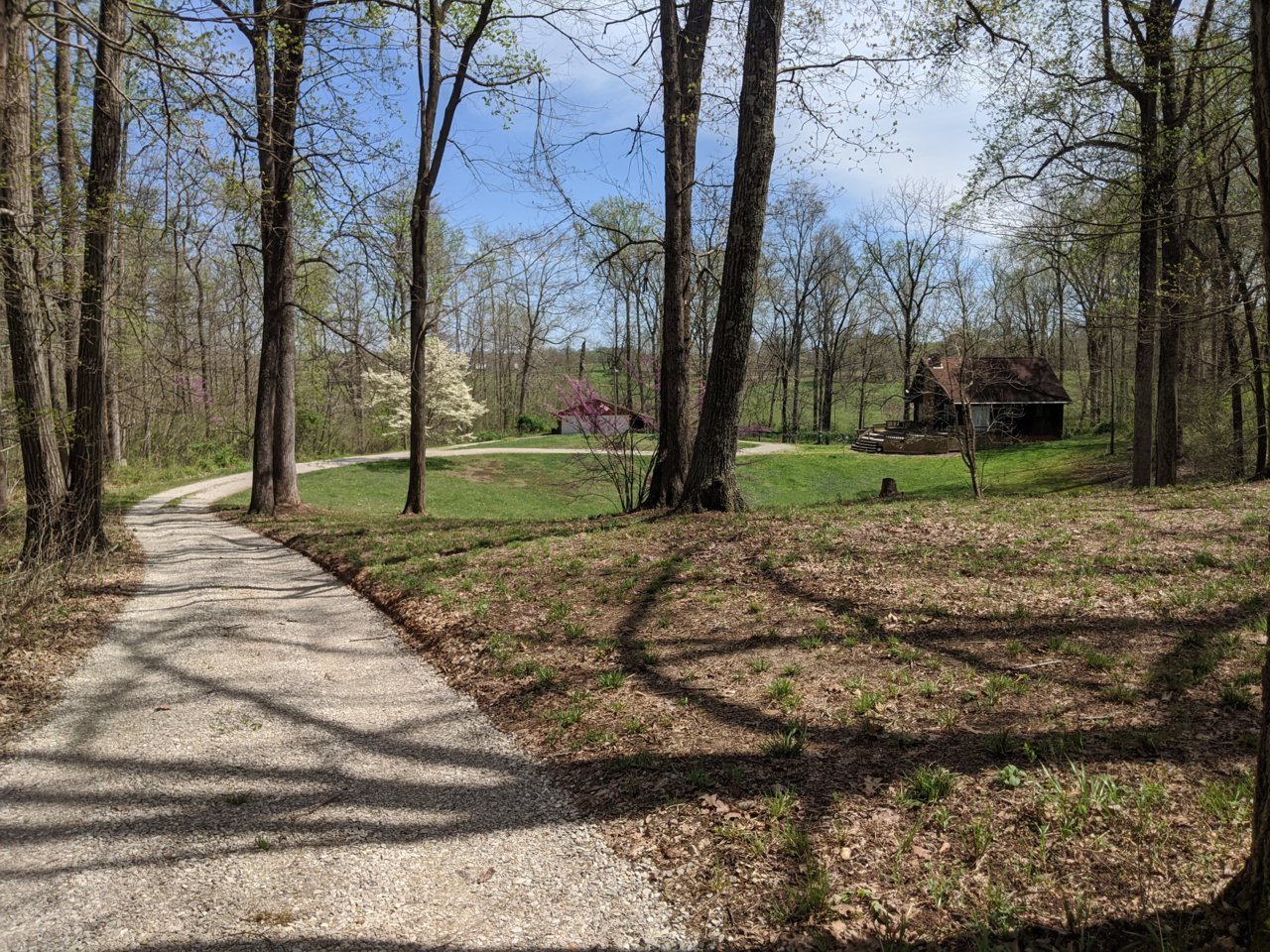 IMG_20200409_131420.jpg