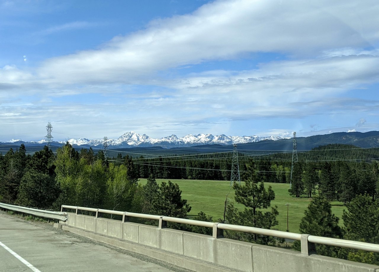 IMG_20200501_162430.jpg