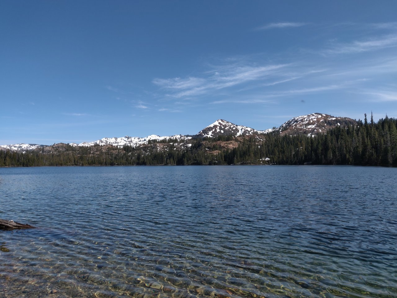 IMG_20200504_155004.jpg