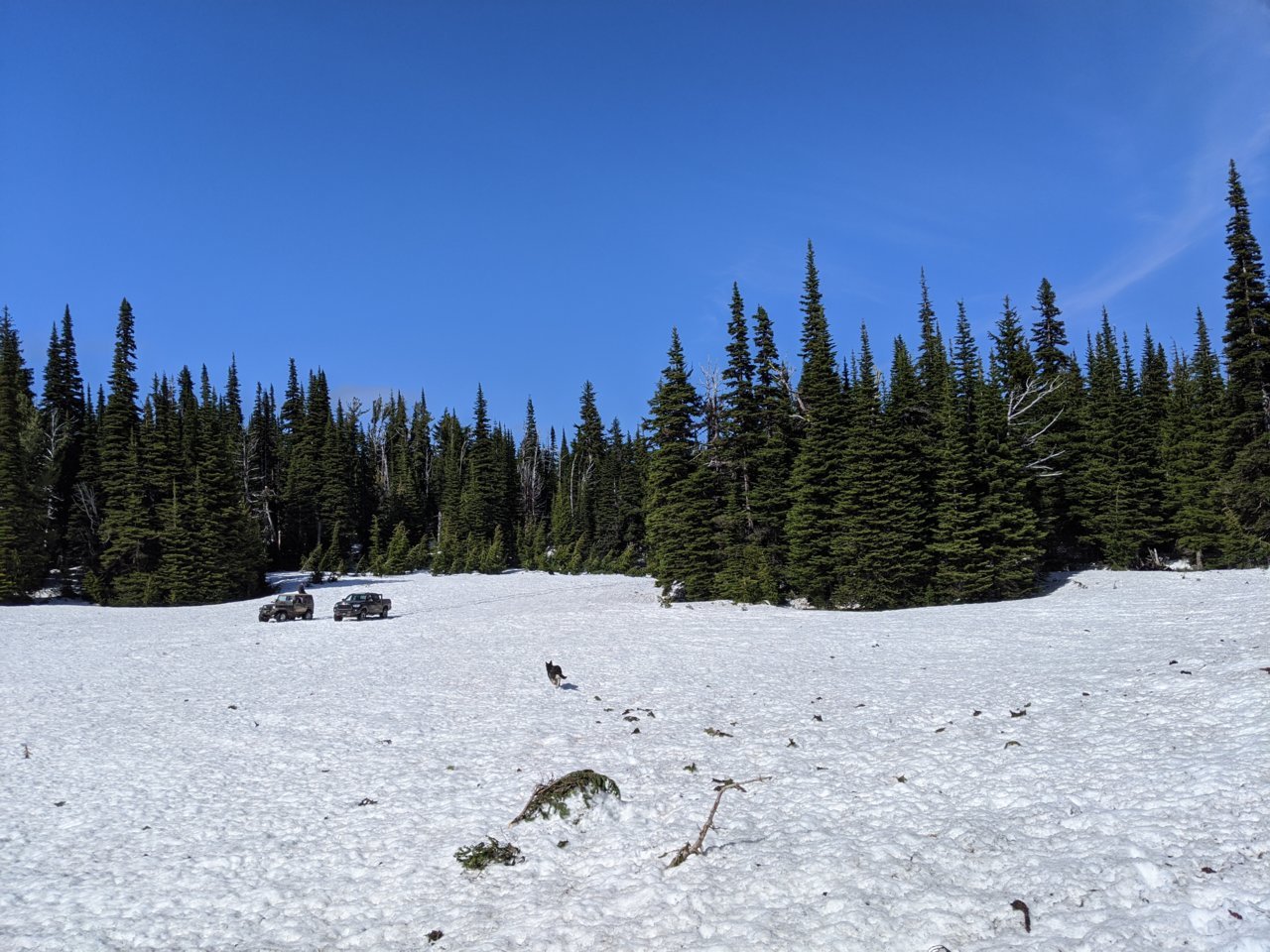 IMG_20200531_162433.jpg