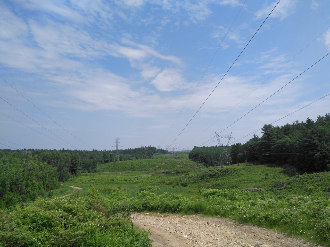IMG_20200702_115942.jpg