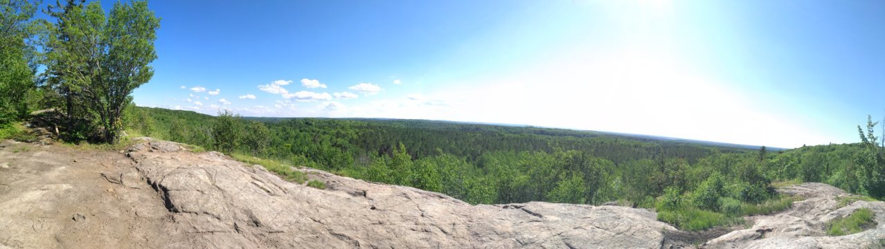 IMG_20200703_163700.jpg