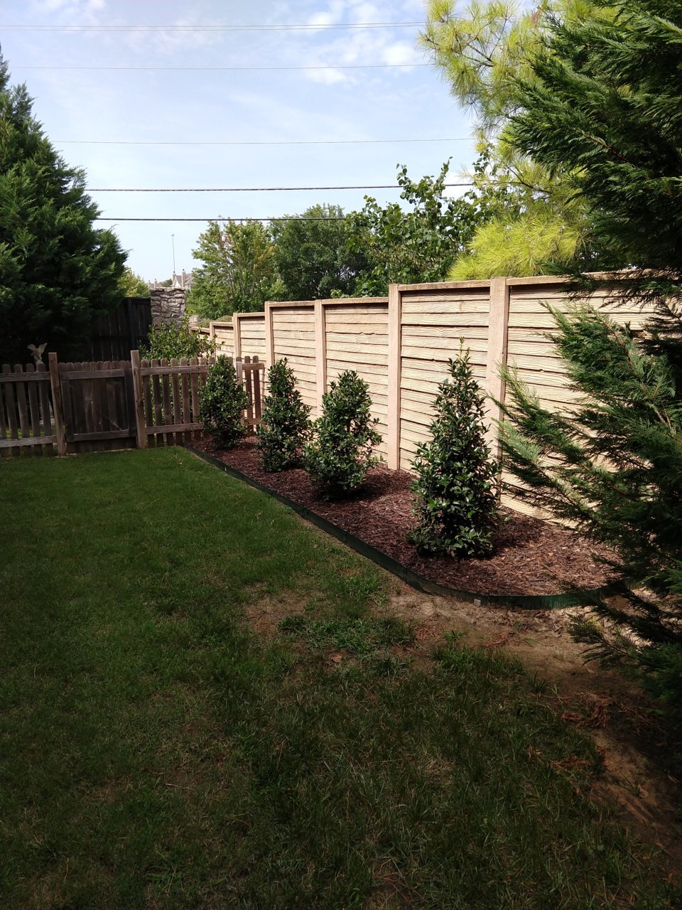 IMG_20200717_160633767.jpg