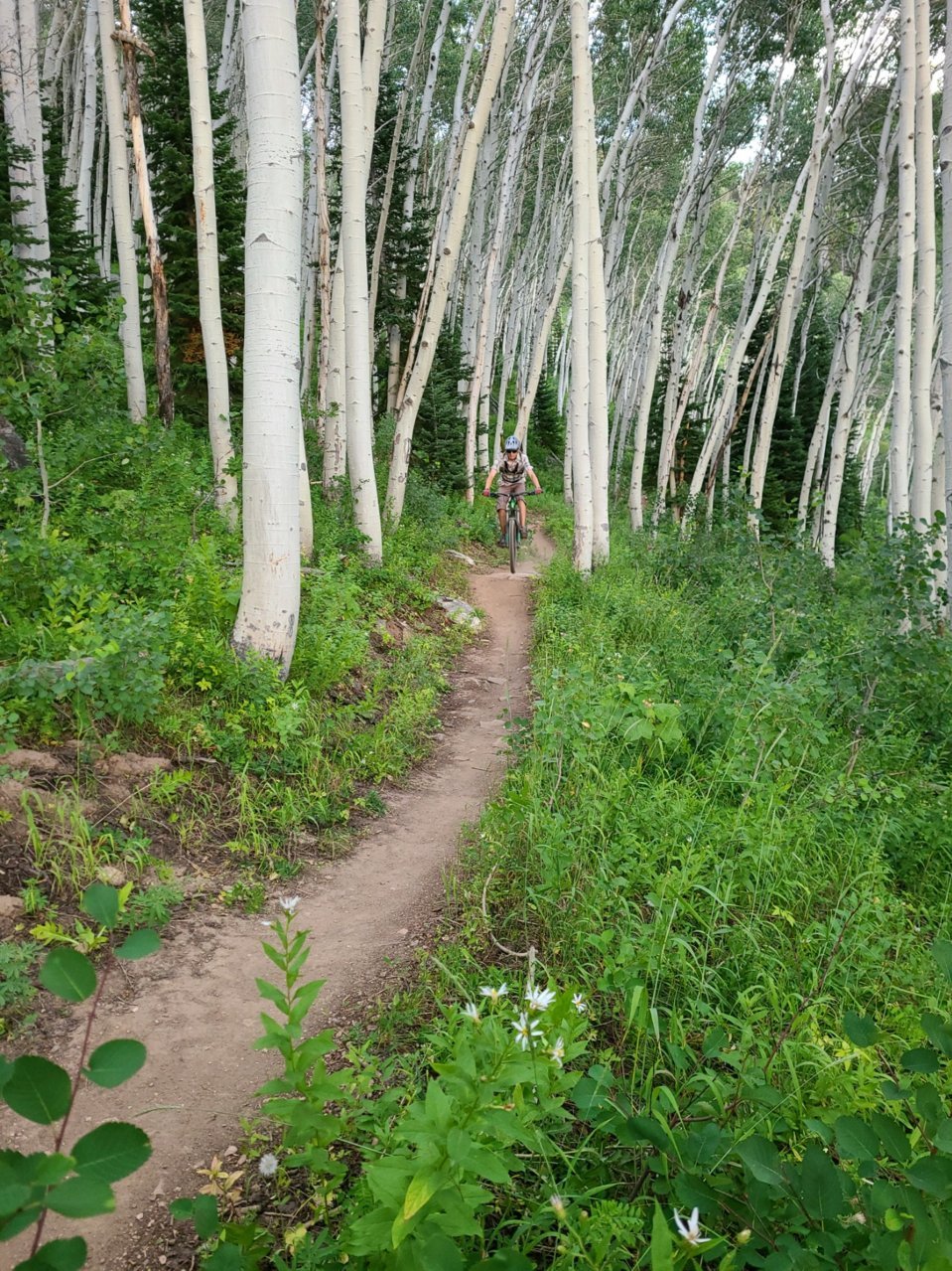 IMG_20200720_181520.jpg