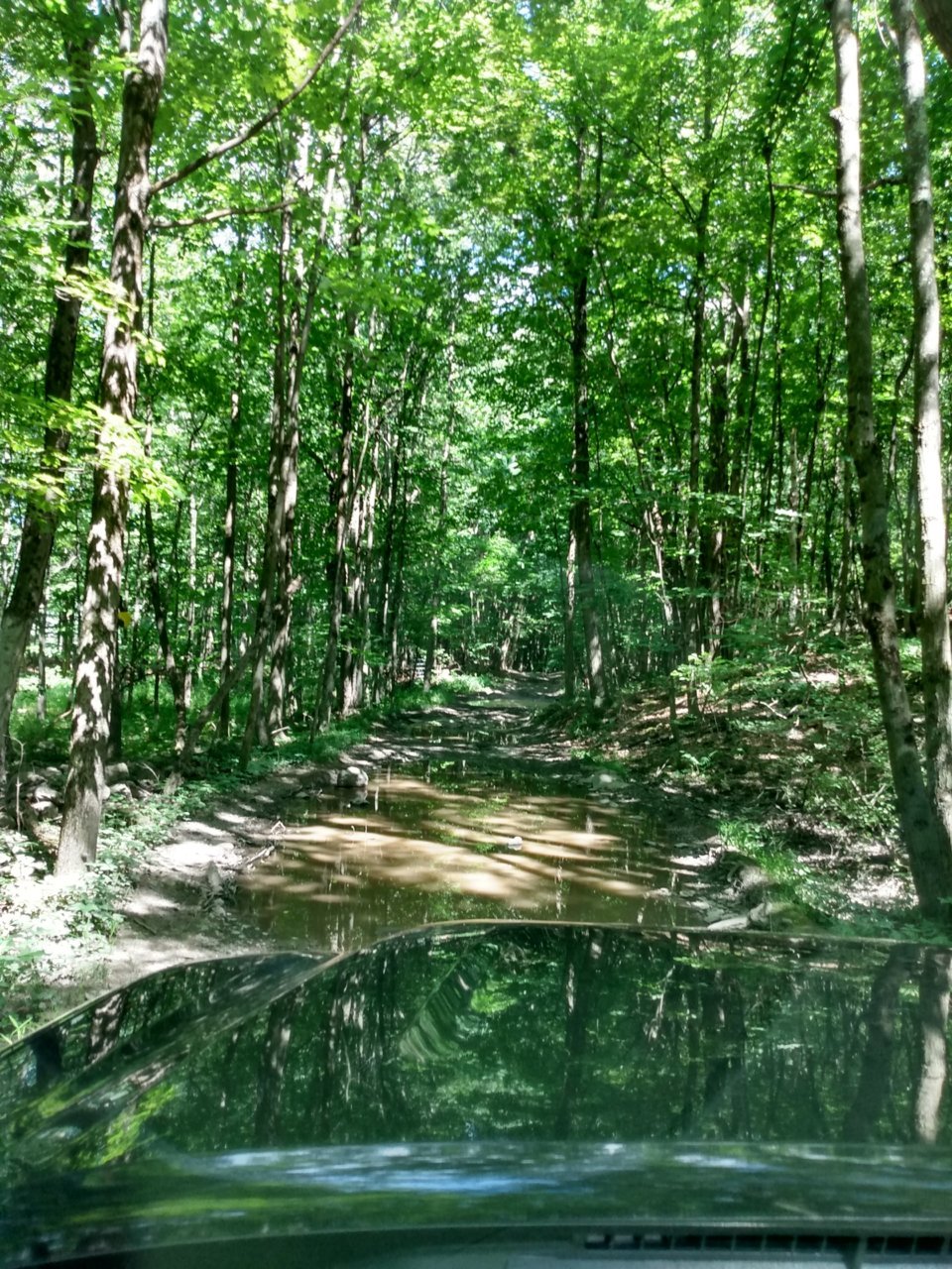 IMG_20200721_144304616_HDR.jpg