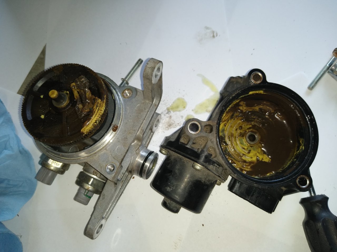 IMG_20200806_165812164.jpg