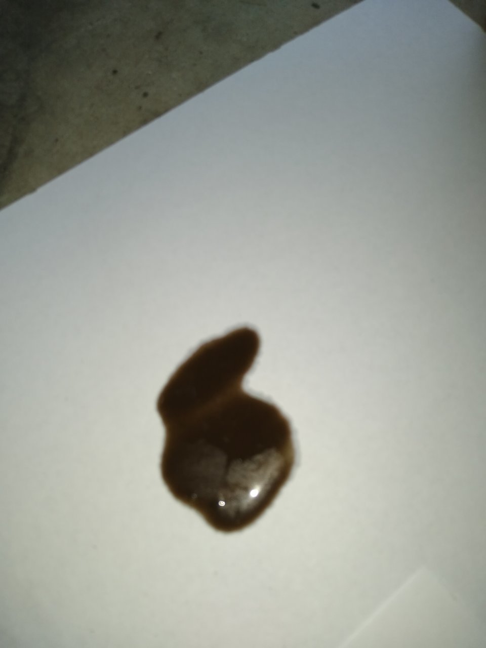 IMG_20200806_165910987.jpg