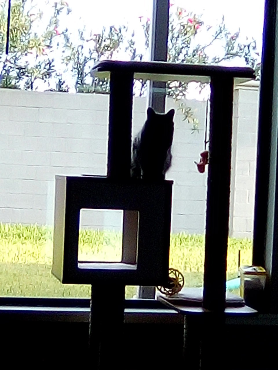 IMG_20200806_191343.jpg