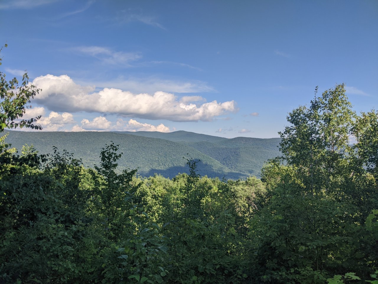 IMG_20200815_172517.jpg