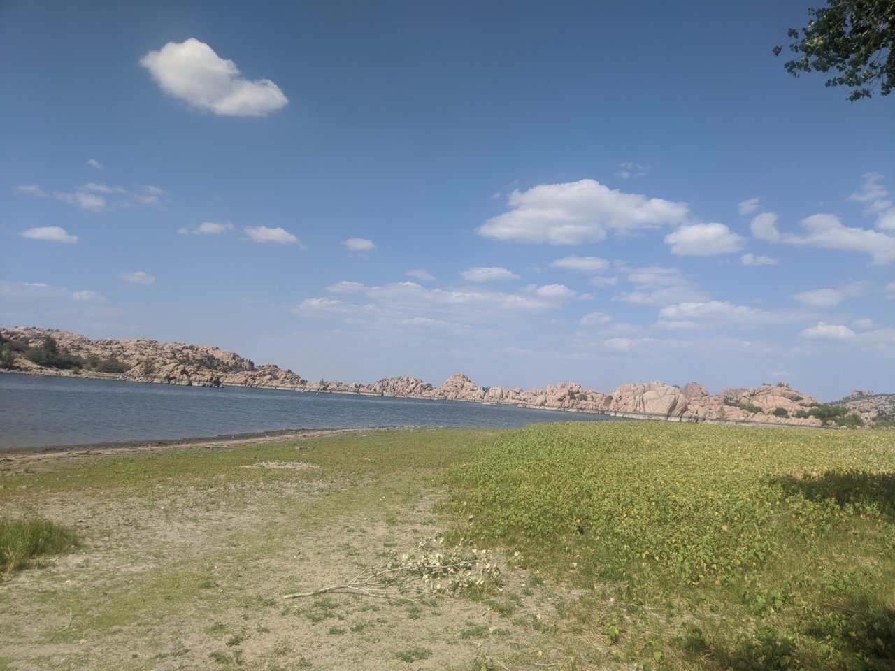 IMG_20200919_143524.jpg