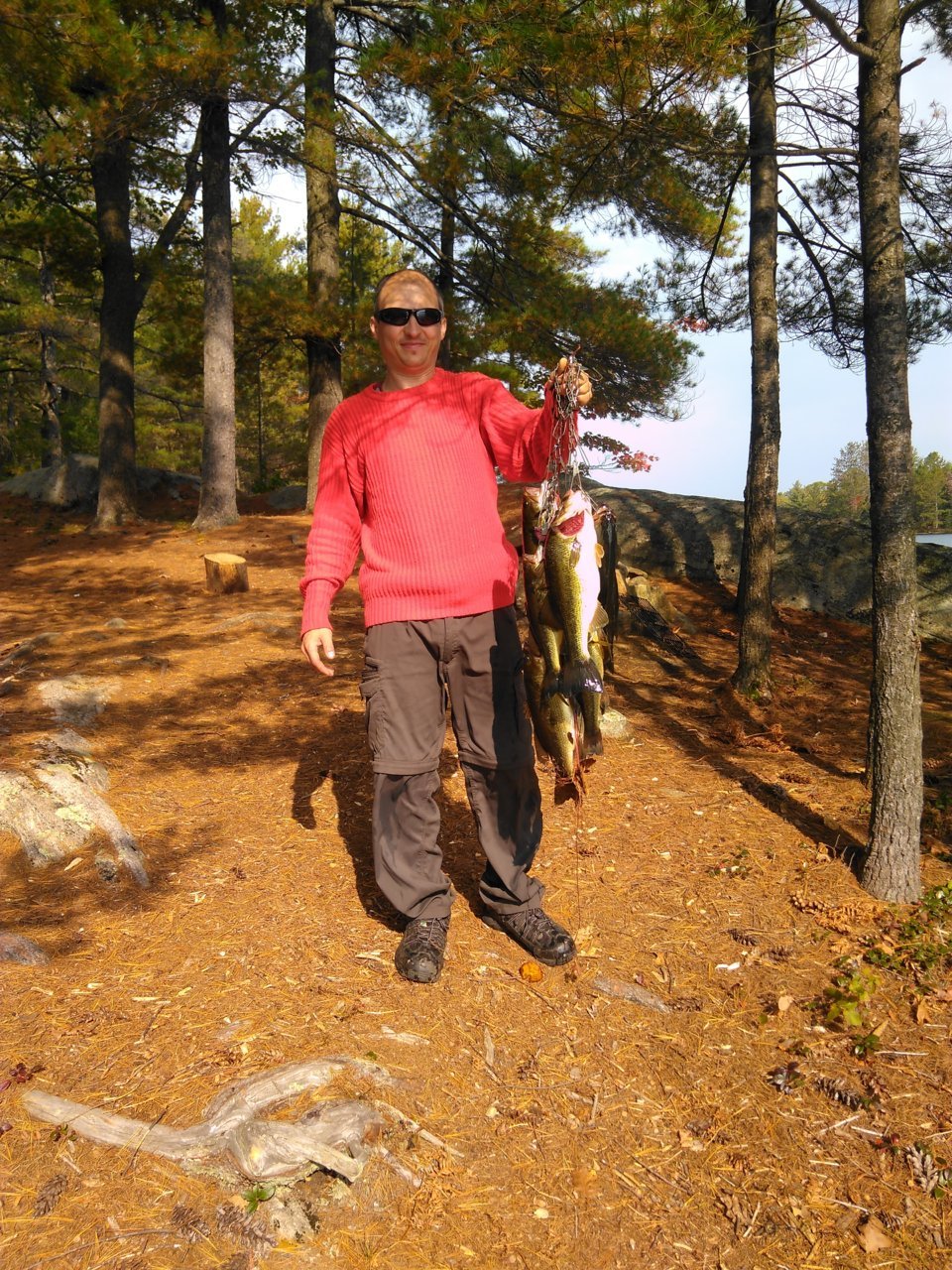 IMG_20200926_111726.jpg